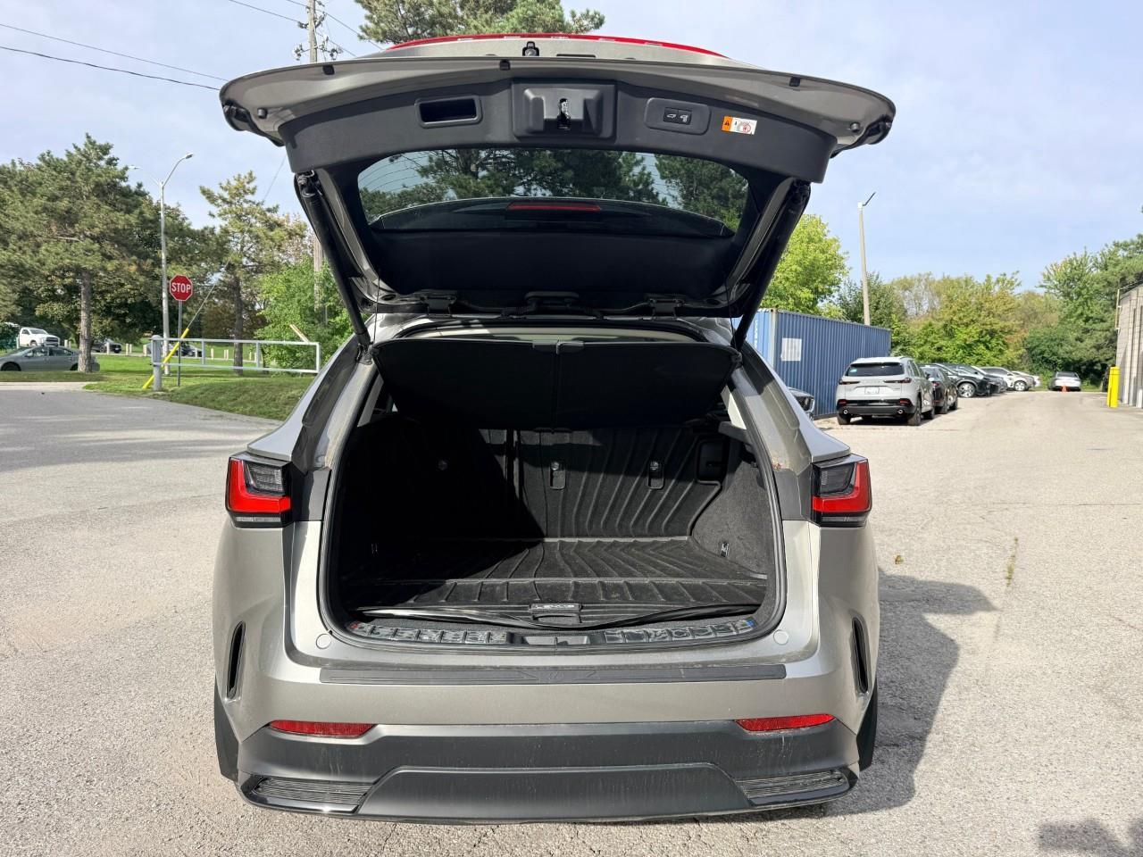 2024 Lexus NX 350h Base 4dr All-Wheel Drive Photo
