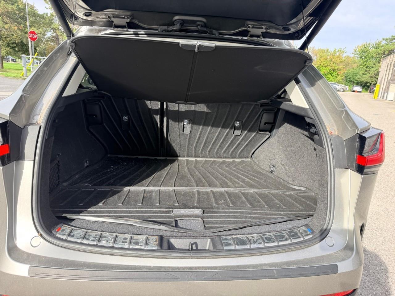 2024 Lexus NX 350h Base 4dr All-Wheel Drive Photo