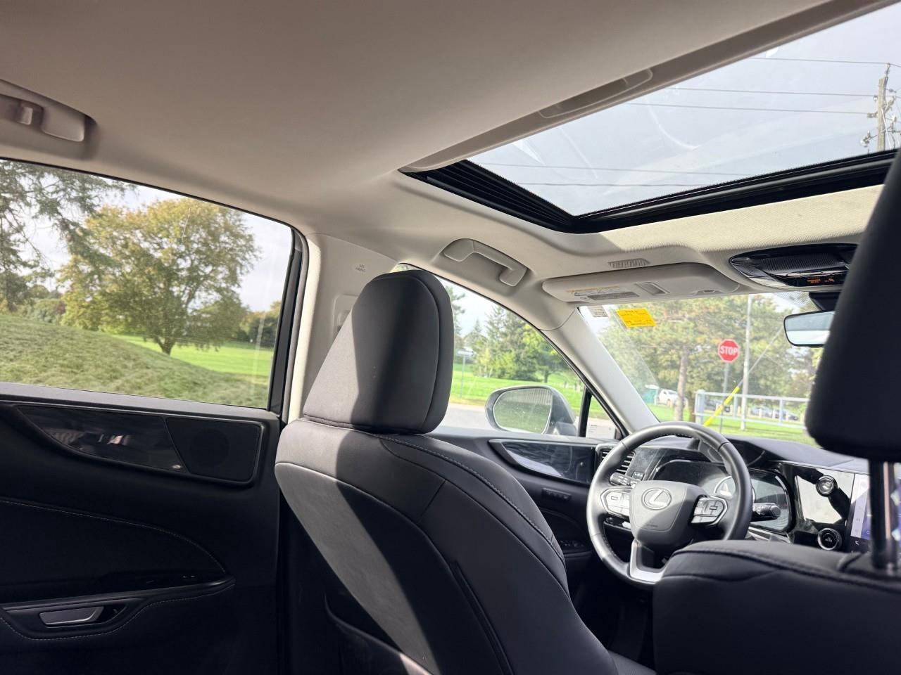 2024 Lexus NX 350h Base 4dr All-Wheel Drive Photo