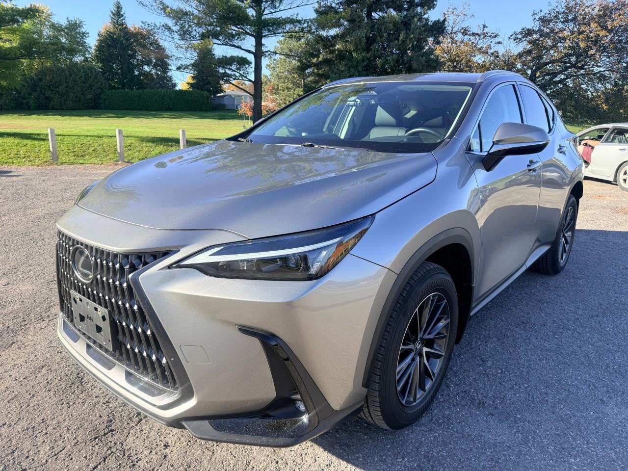 2024 Lexus NX 350h Base 4dr All-Wheel Drive Photo