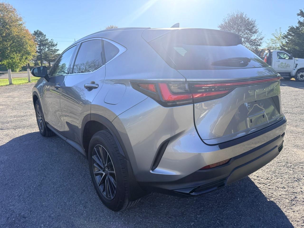 2024 Lexus NX 350h Base 4dr All-Wheel Drive Photo