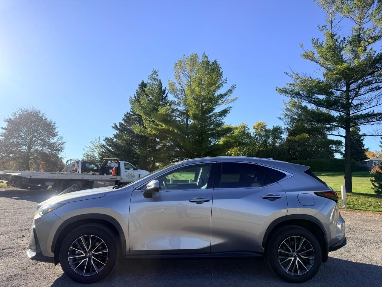 2024 Lexus NX 350h Base 4dr All-Wheel Drive Photo