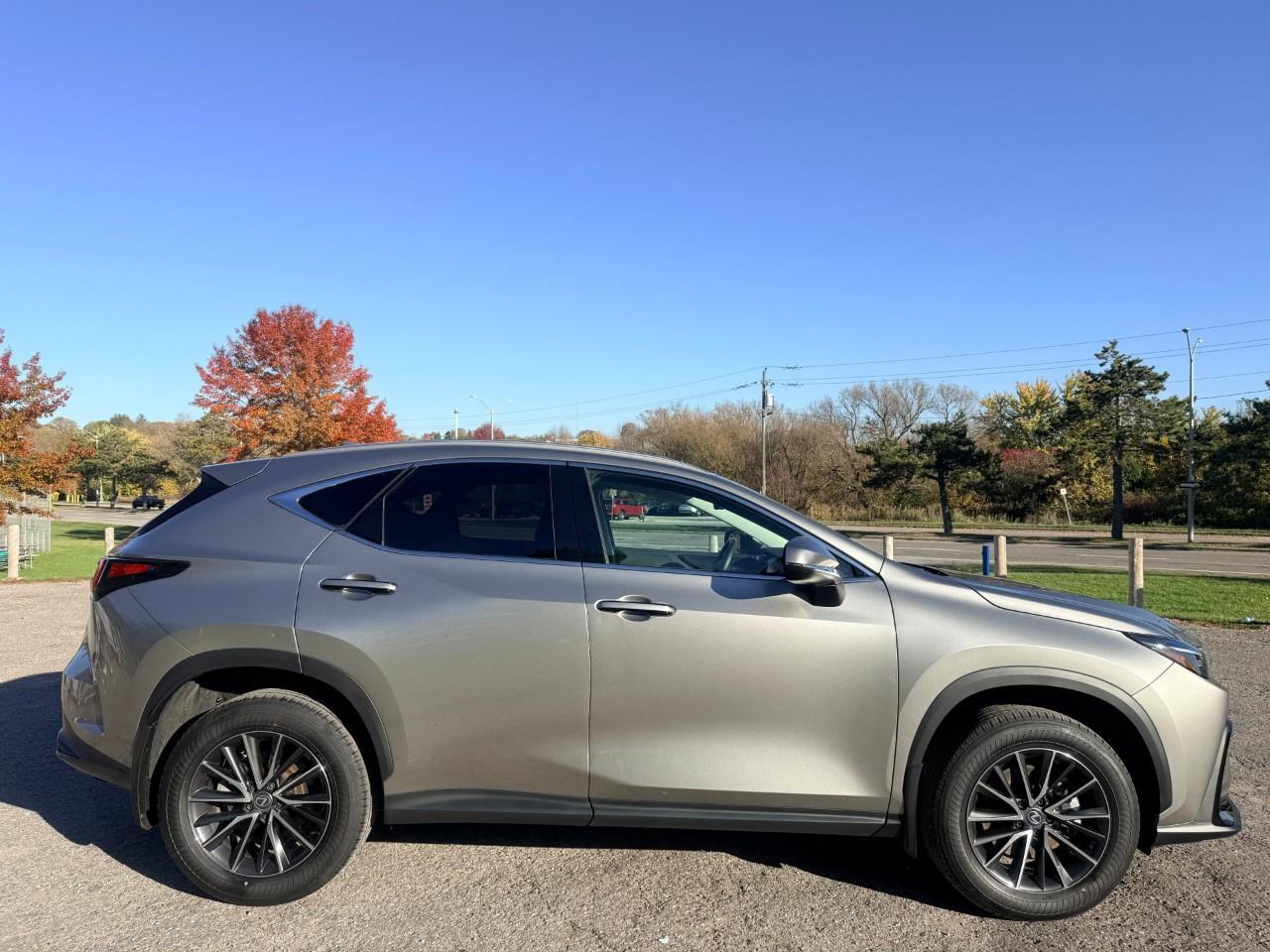 2024 Lexus NX 350h Base 4dr All-Wheel Drive Photo