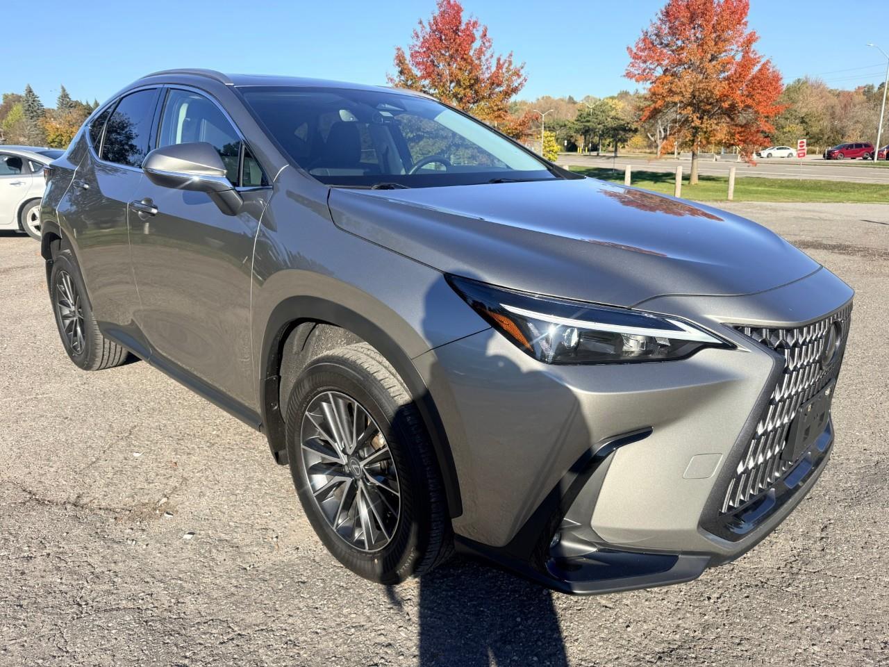 2024 Lexus NX 350h Base 4dr All-Wheel Drive Photo