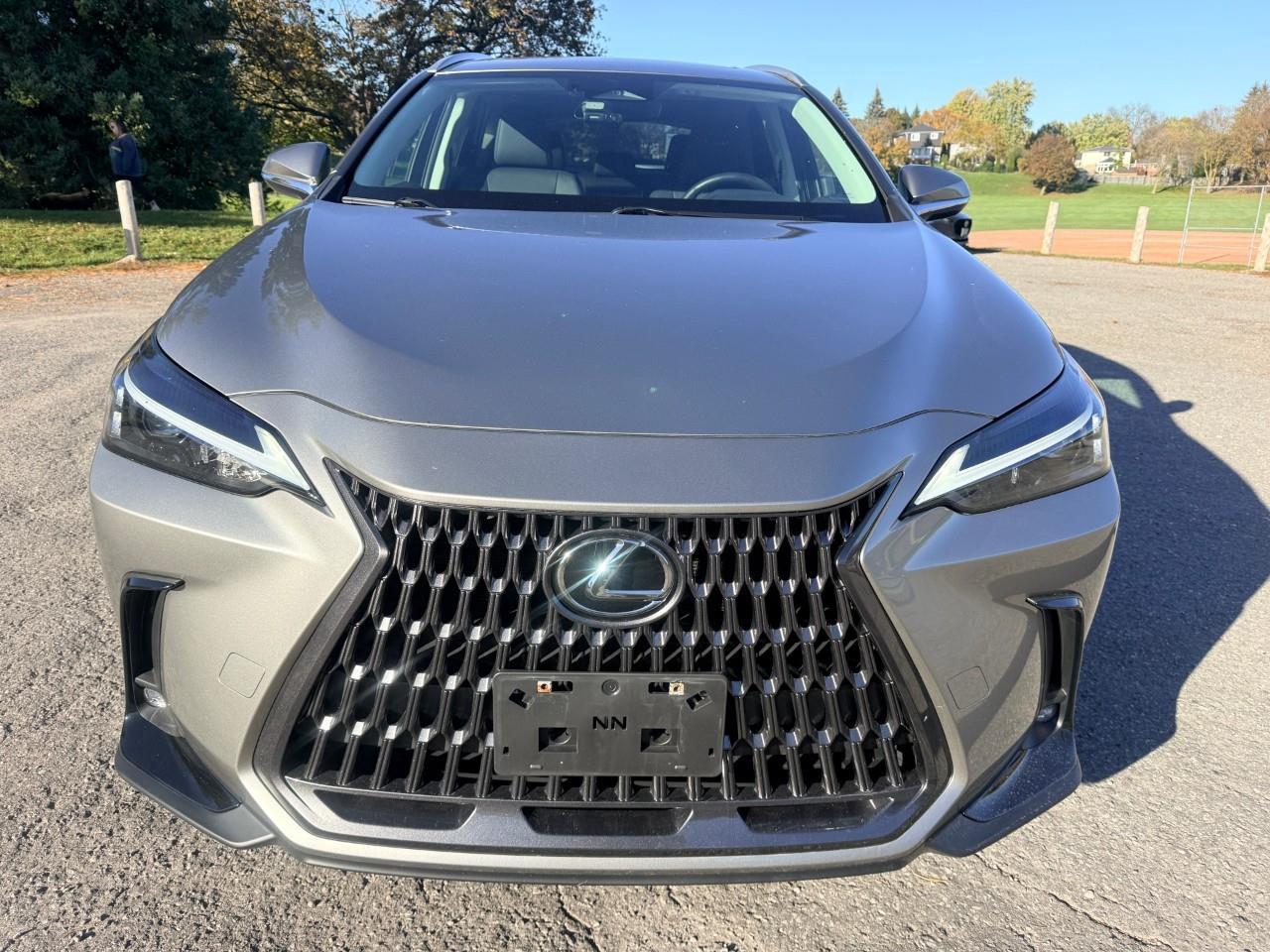 2024 Lexus NX 350h Base 4dr All-Wheel Drive Photo