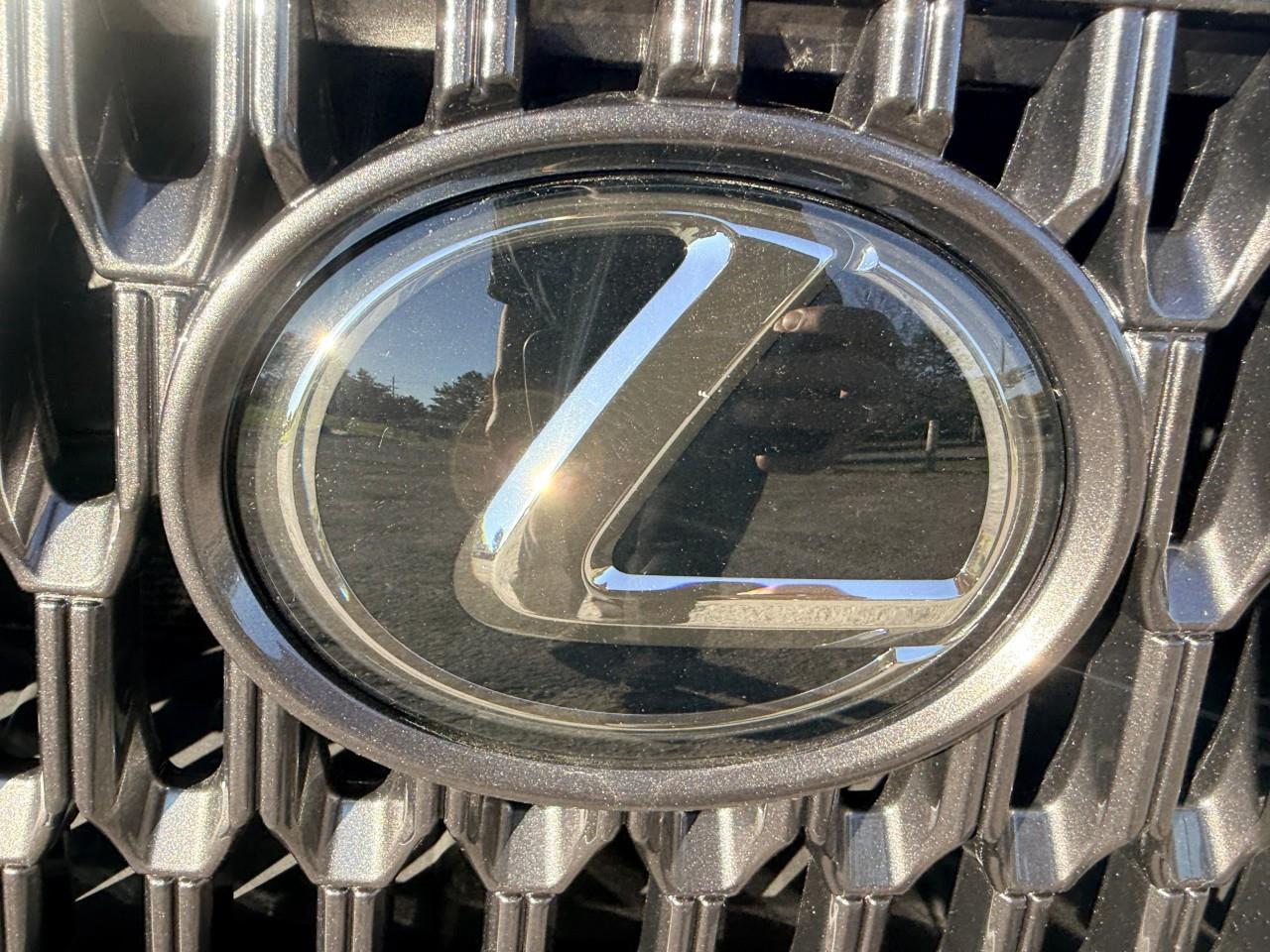2024 Lexus NX 350h Base 4dr All-Wheel Drive Photo