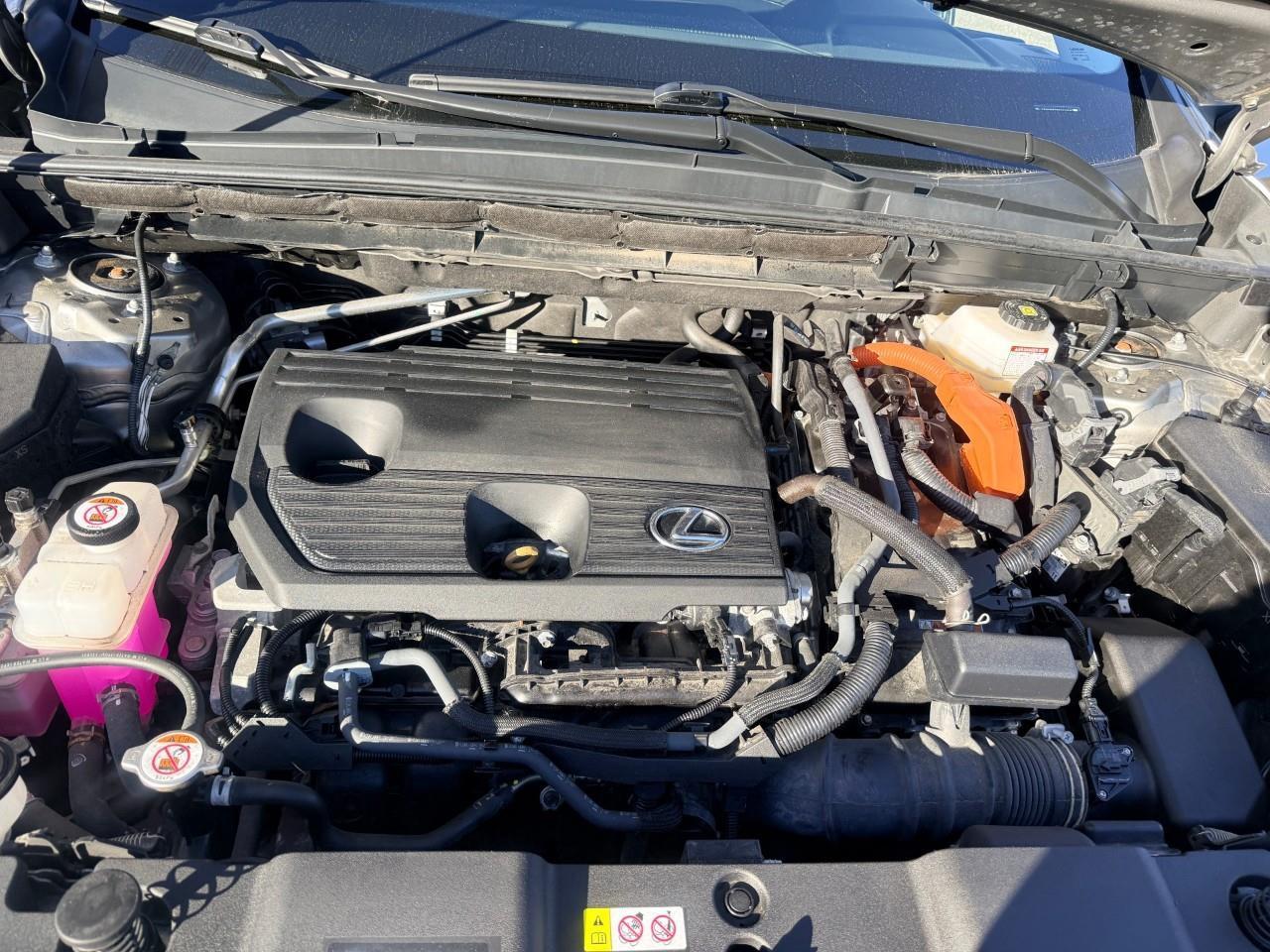 2024 Lexus NX 350h Base 4dr All-Wheel Drive Photo