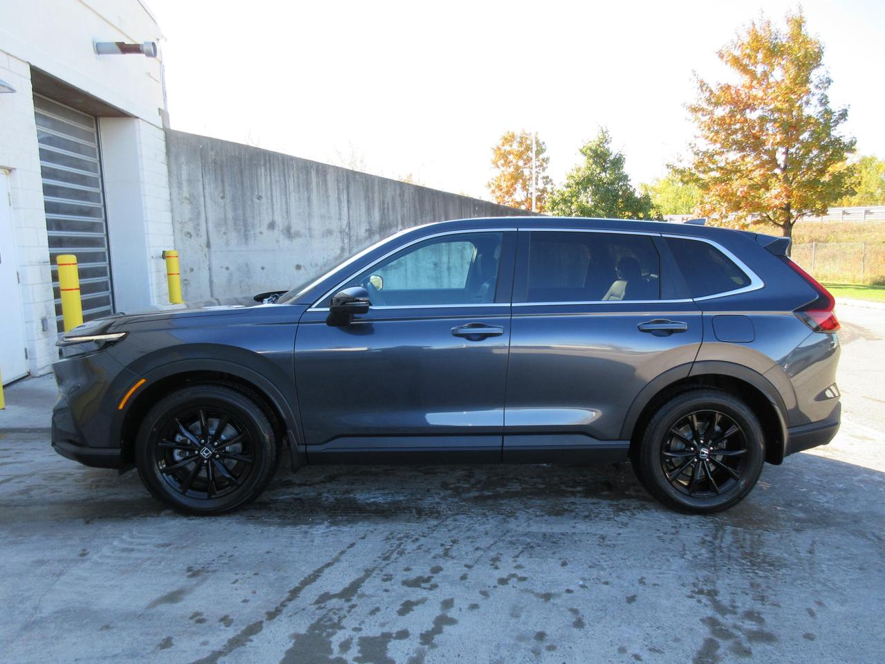 2025 Honda CR-V Hybrid EX-L 4dr All-Wheel Drive Photo