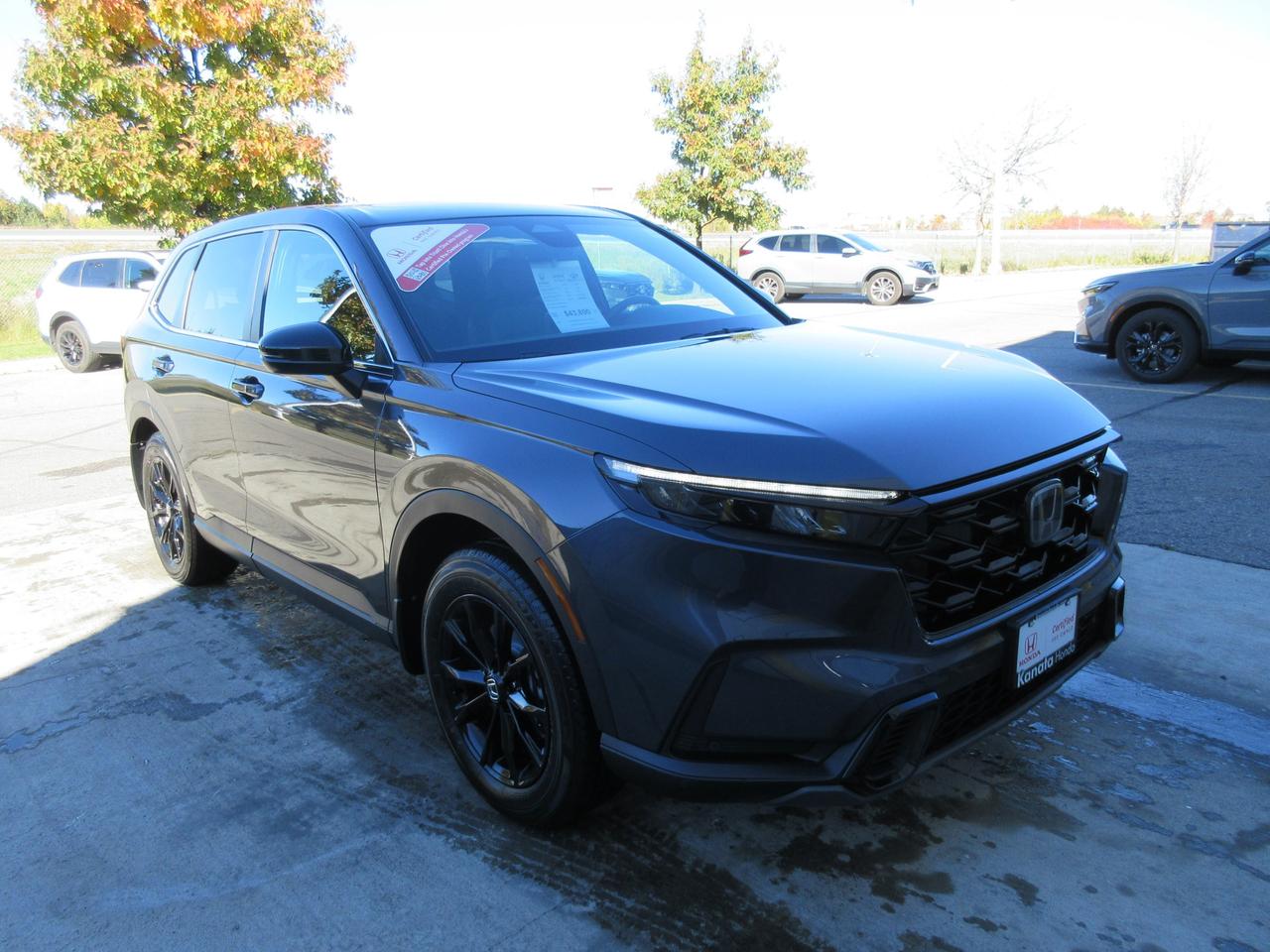 2025 Honda CR-V Hybrid EX-L 4dr All-Wheel Drive Photo