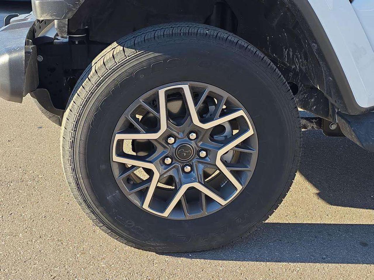 2026 Jeep Wrangler Sahara Photo