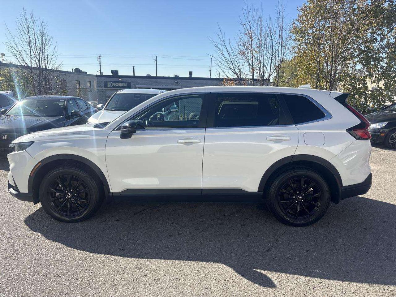 2025 Honda CR-V Ex-L Honda Certified With 7YRS/160K Warranty Photo