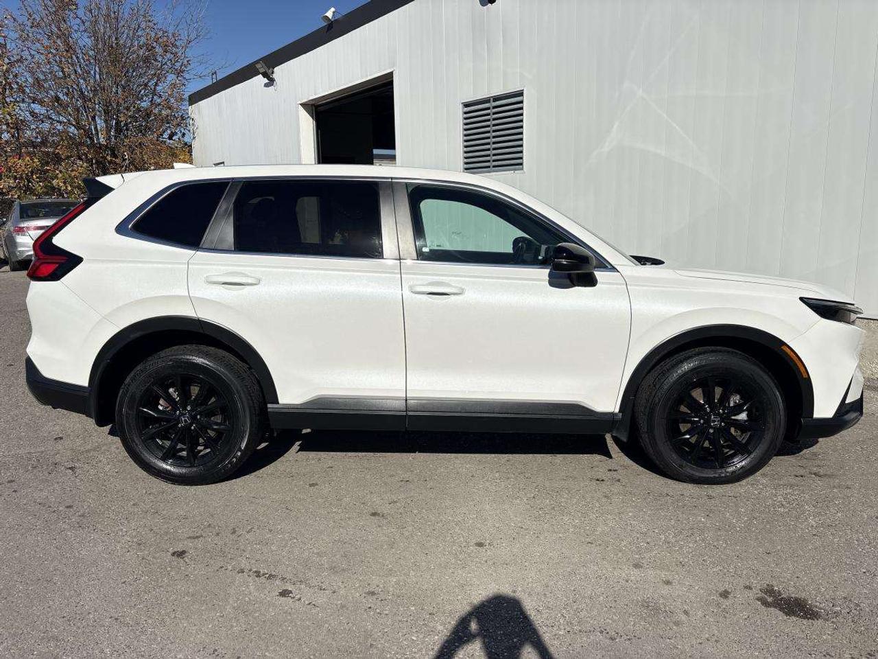 2025 Honda CR-V Ex-L Honda Certified With 7YRS/160K Warranty Photo