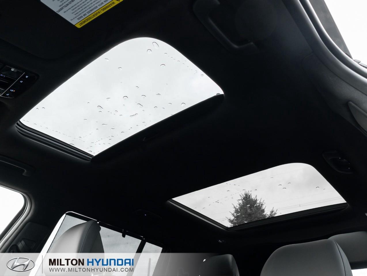 2027 Hyundai Santa Fe HEV Ultimate Calligraphy 4dr All-Wheel Drive Photo
