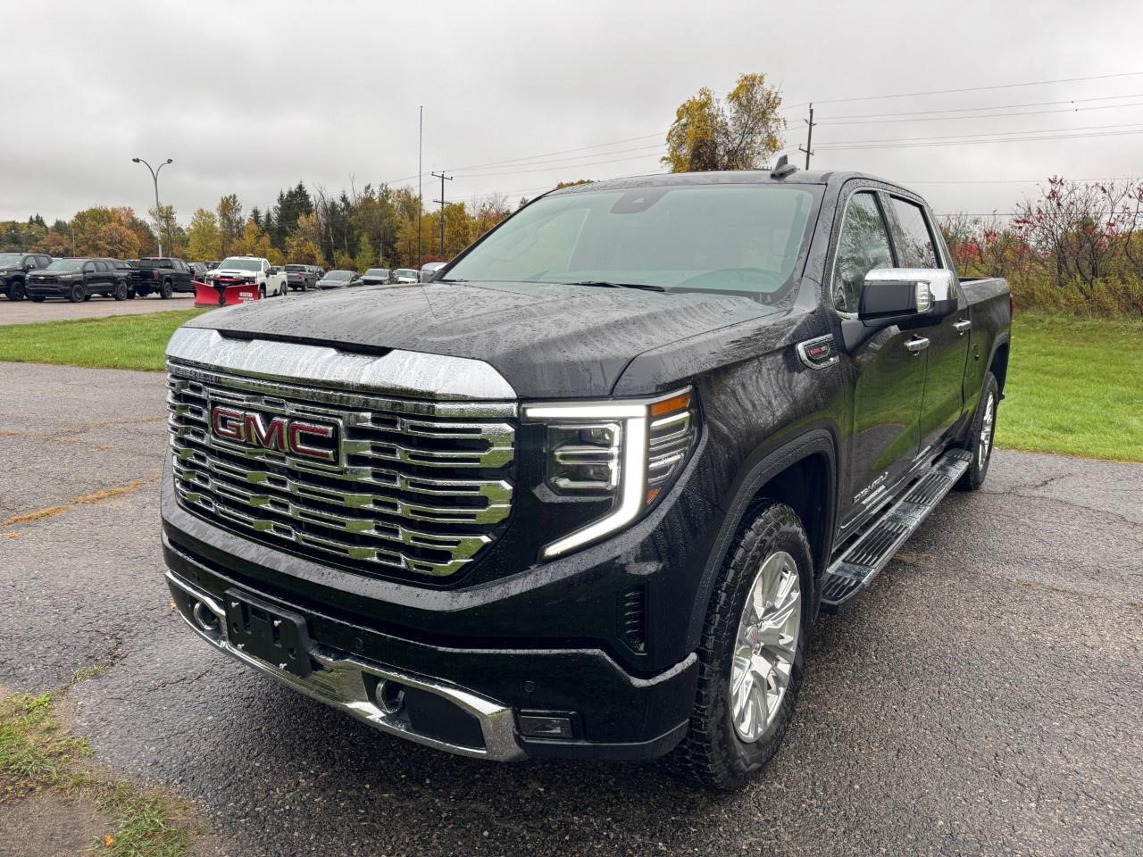 2026 GMC Sierra 1500 Crew Cab Standard Box 4-Wheel Drive Denali Photo0