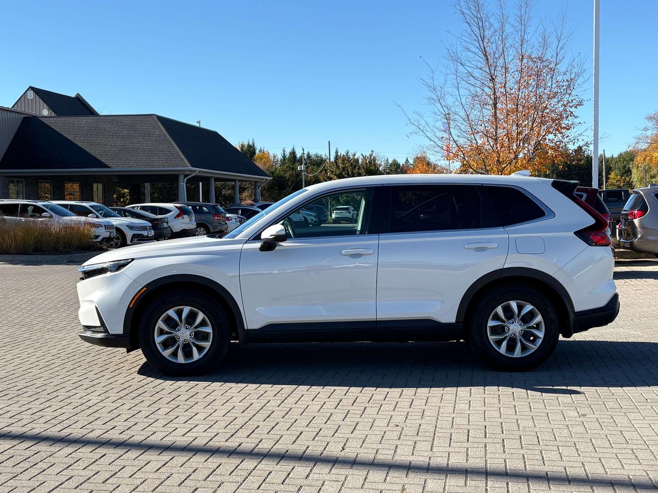 2025 Honda CR-V LX FWD   Heated Seats   Apple CarPlay/Android Auto Photo