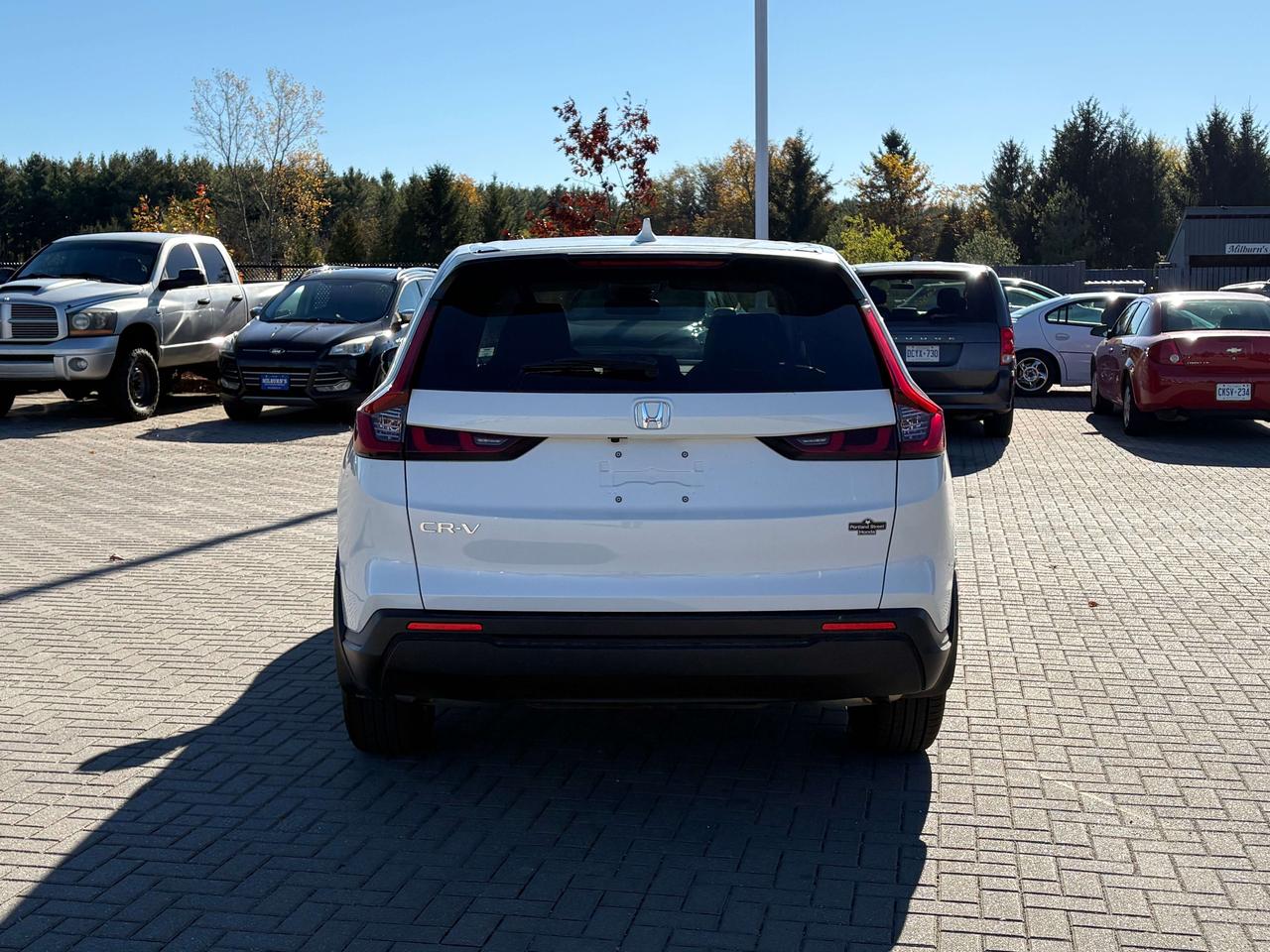 2025 Honda CR-V LX FWD   Heated Seats   Apple CarPlay/Android Auto Photo