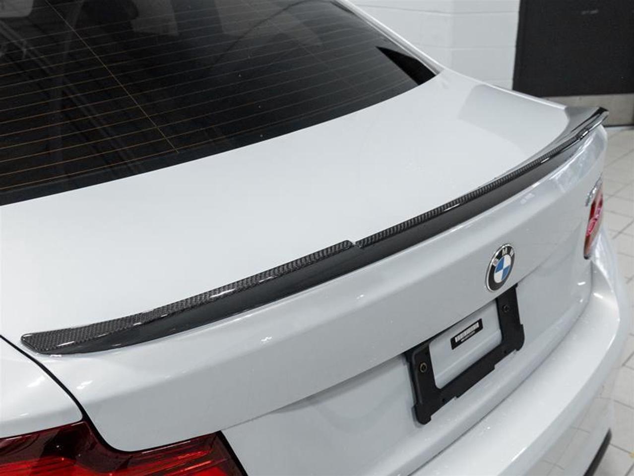 2020 BMW M2 CS 2dr Rear-Wheel Drive Coupe Photo