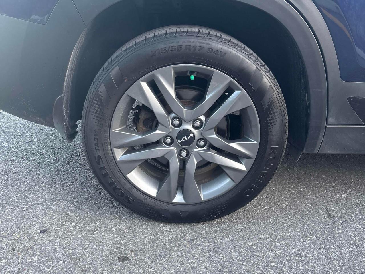 2023 Kia Seltos EX 4dr All-Wheel Drive Photo