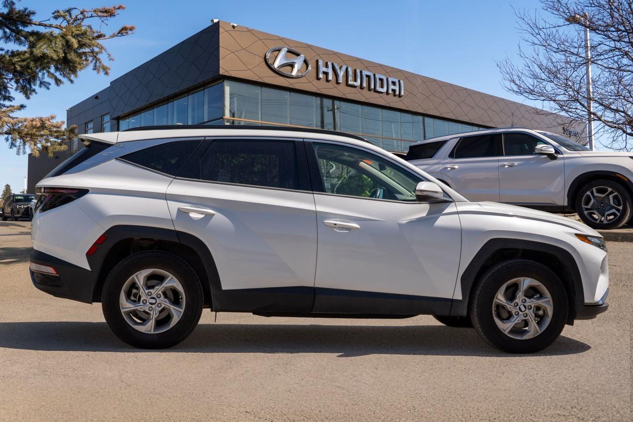 2023 Hyundai Tucson PREFERRED AWD W/TREND PACKAGE Photo