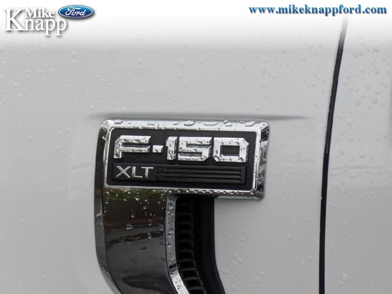 2023 Ford F-150 XLT Photo