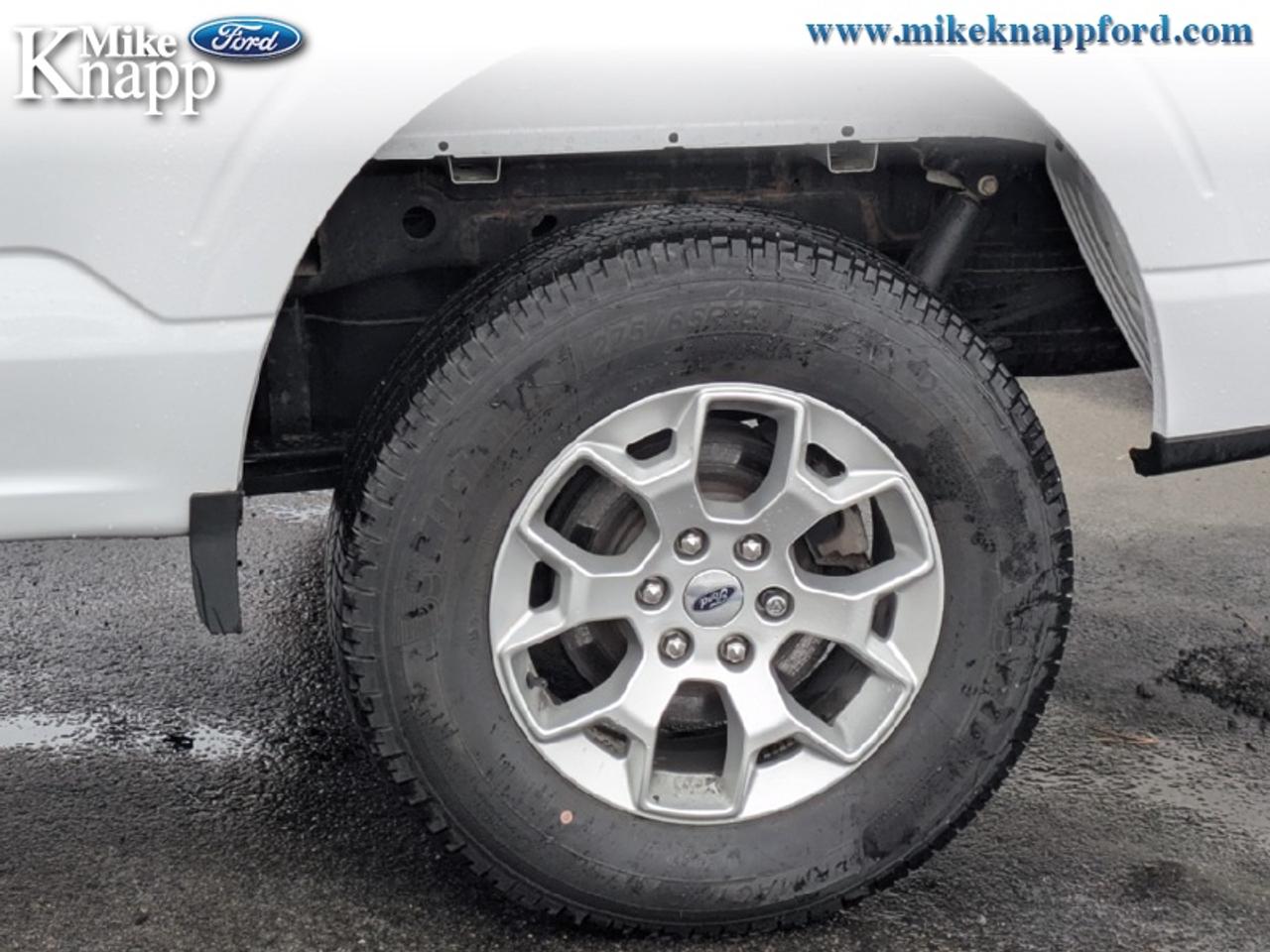 2023 Ford F-150 XLT Photo