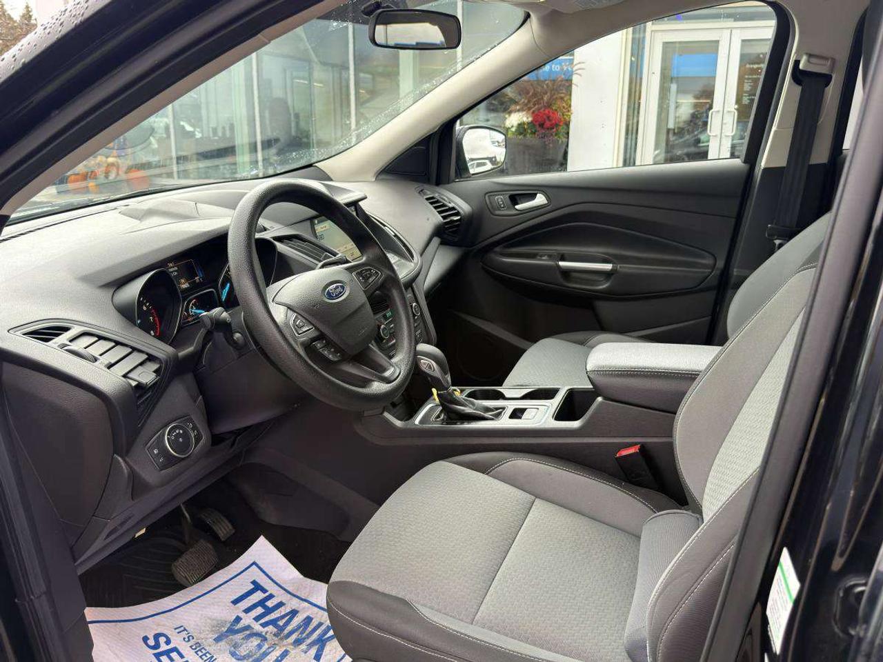 2019 Ford Escape SE Photo