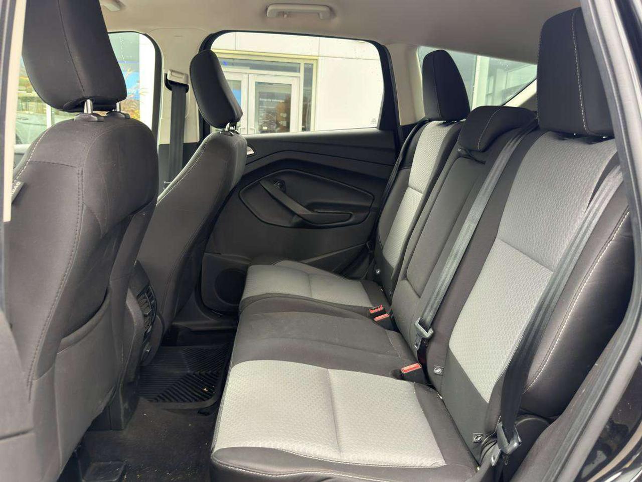 2019 Ford Escape SE Photo
