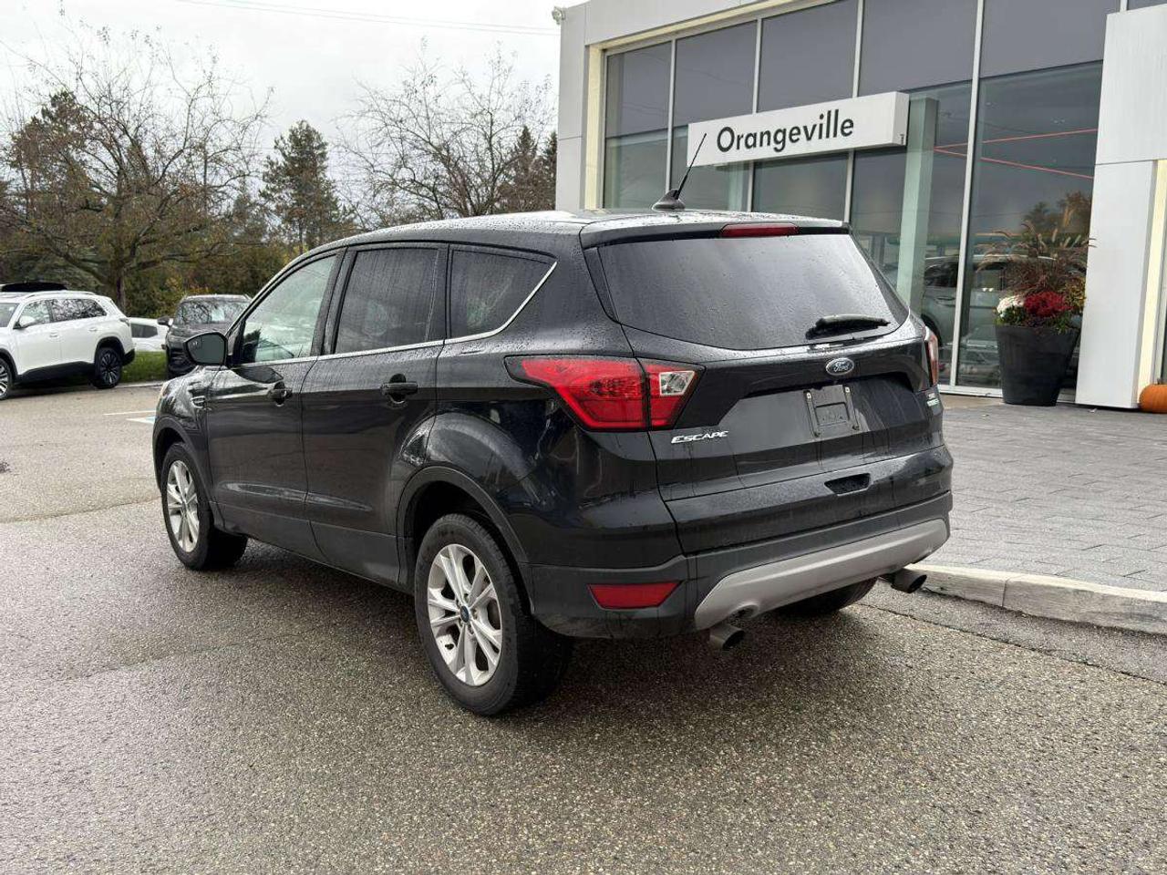 2019 Ford Escape SE Photo
