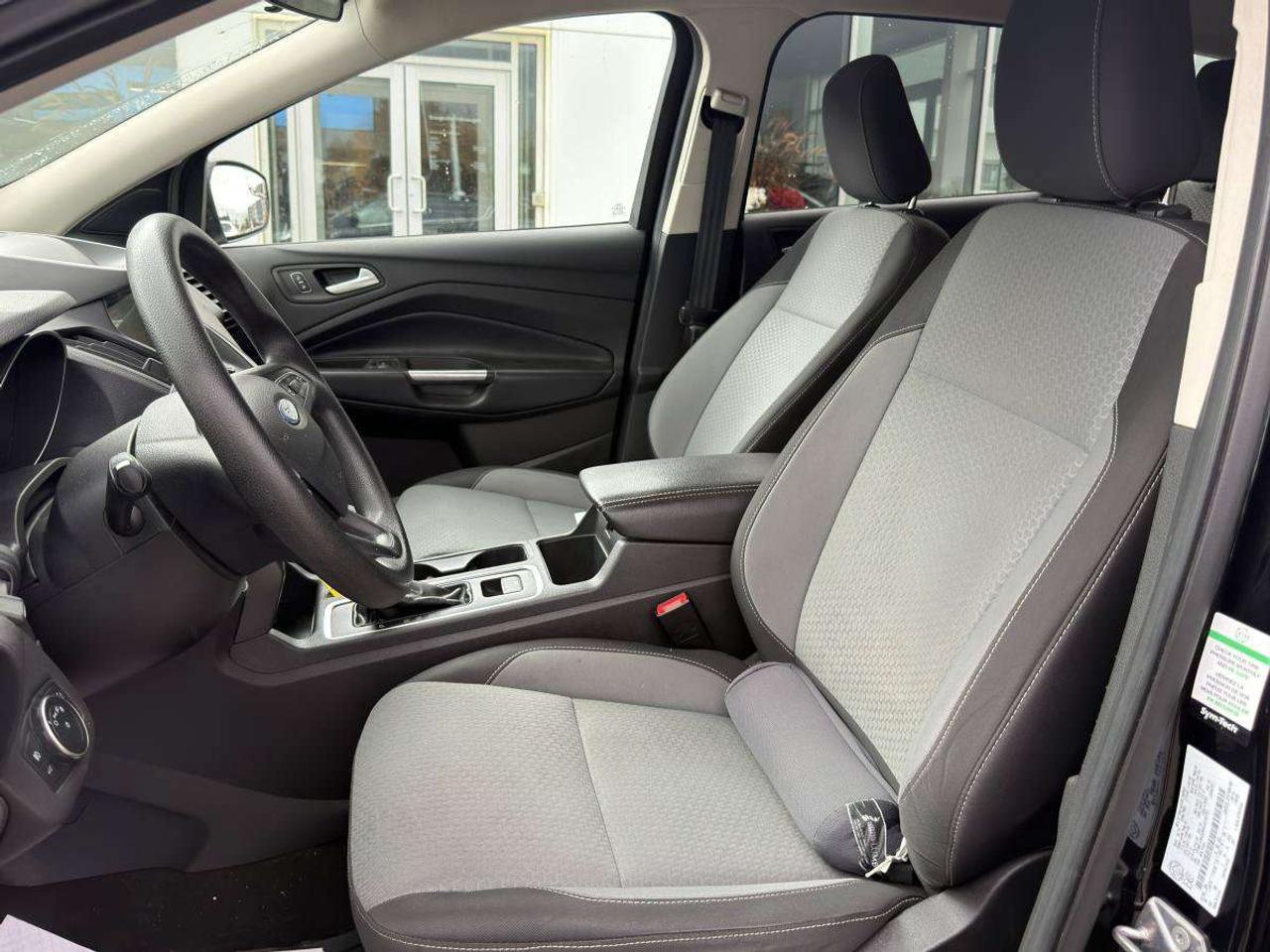 2019 Ford Escape SE Photo