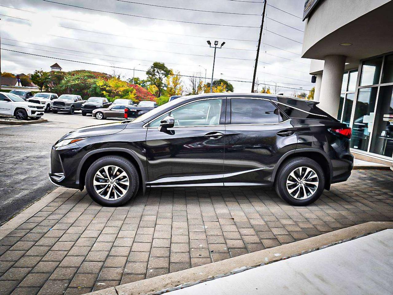 2021 Lexus RX  Photo