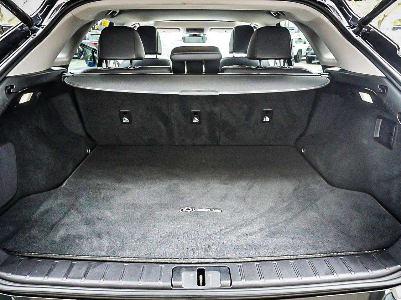 2021 Lexus RX  Photo