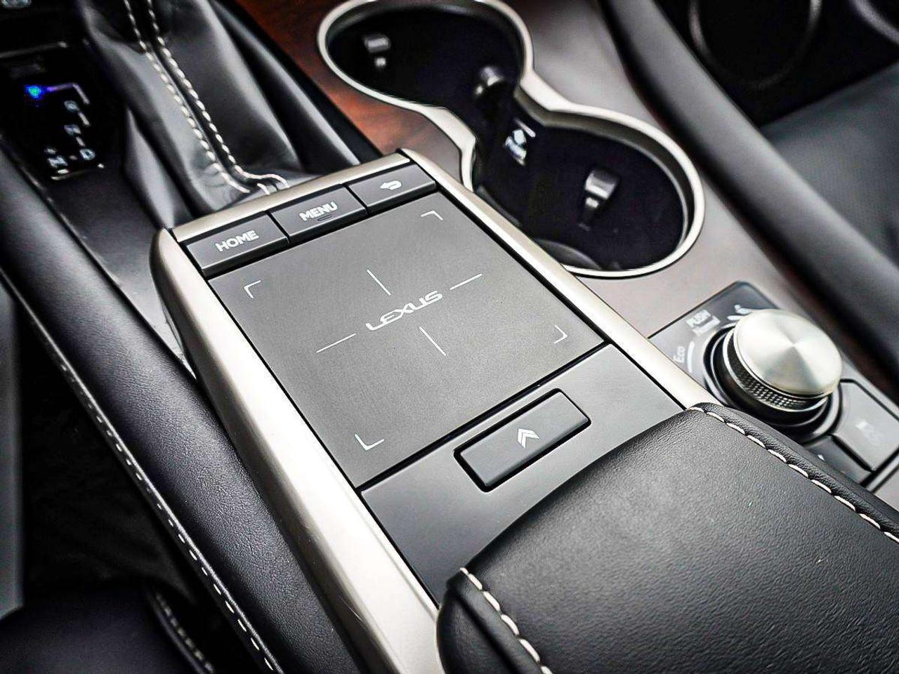 2021 Lexus RX  Photo