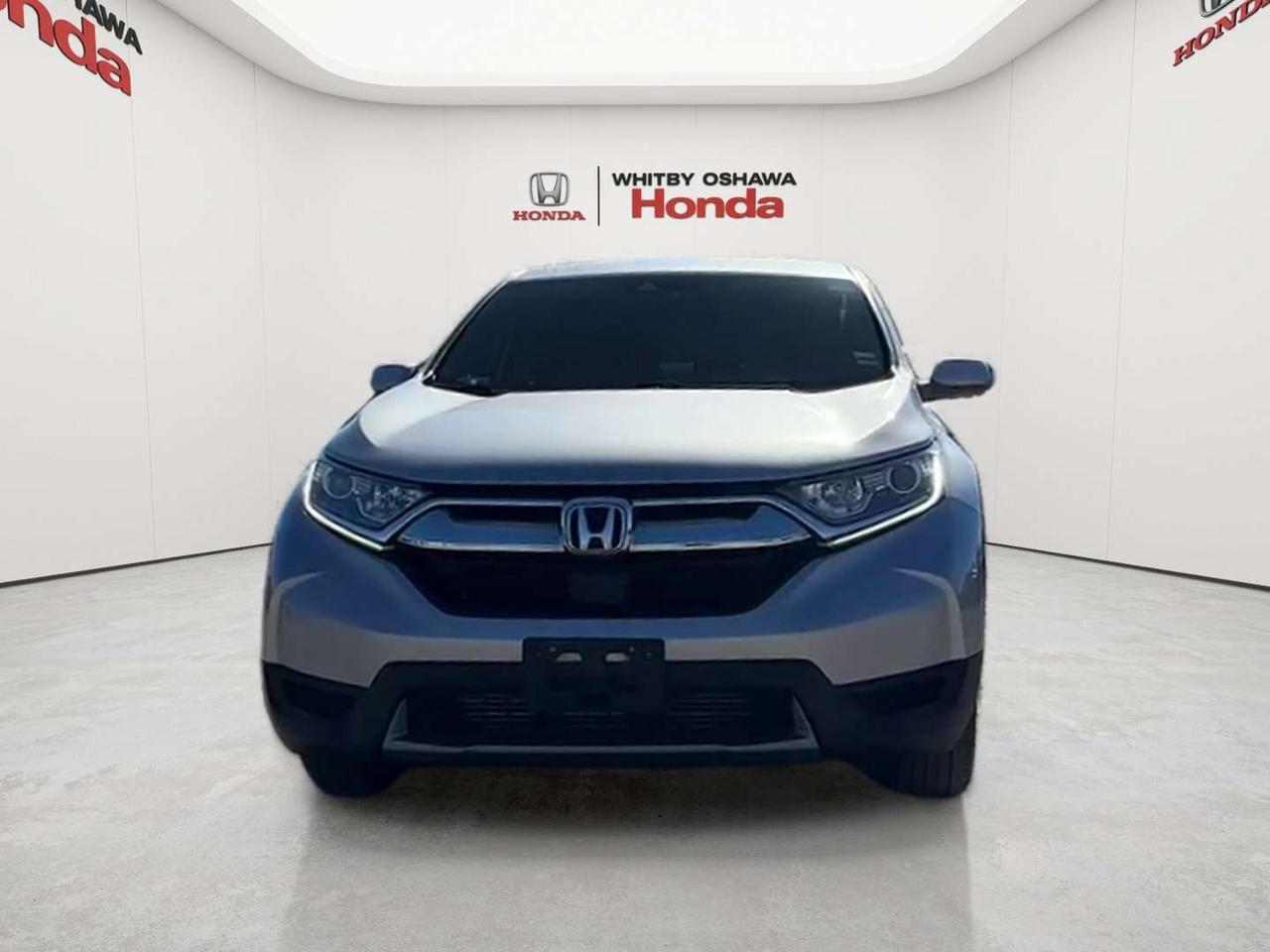 2019 Honda CR-V LX Photo