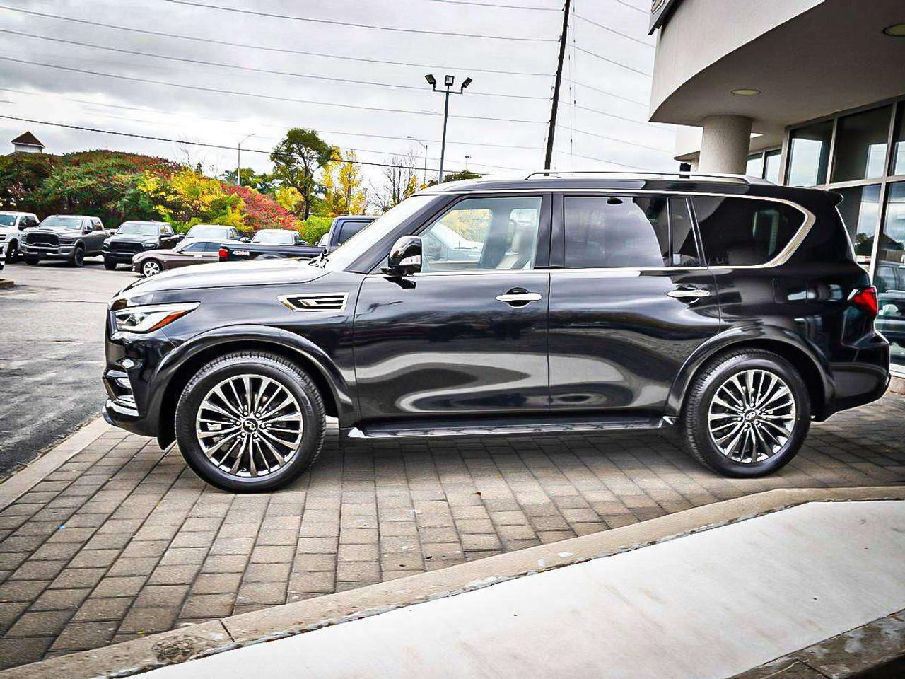 2024 Infiniti QX80  Photo
