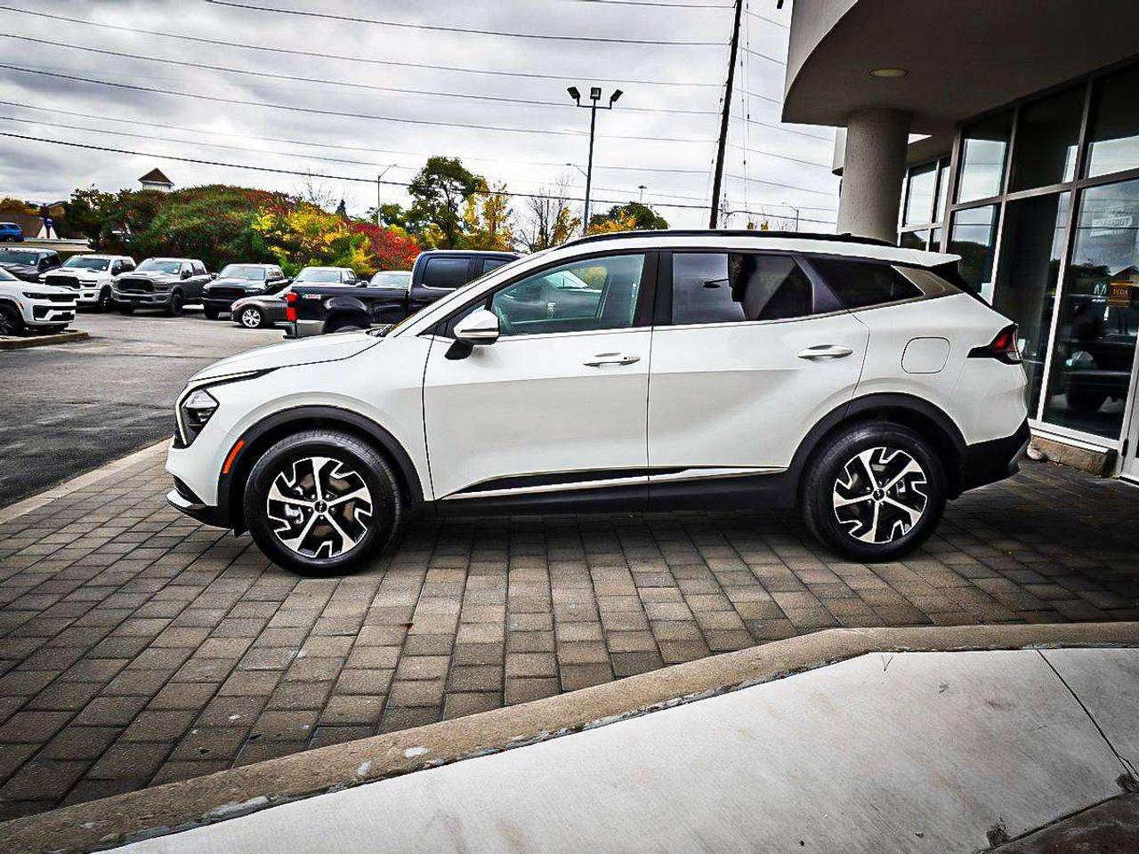 2024 Kia Sportage  Photo