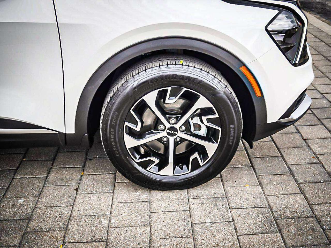 2024 Kia Sportage  Photo