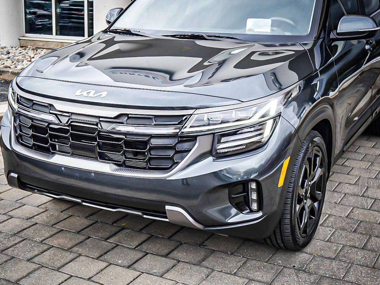2024 Kia Seltos  Photo