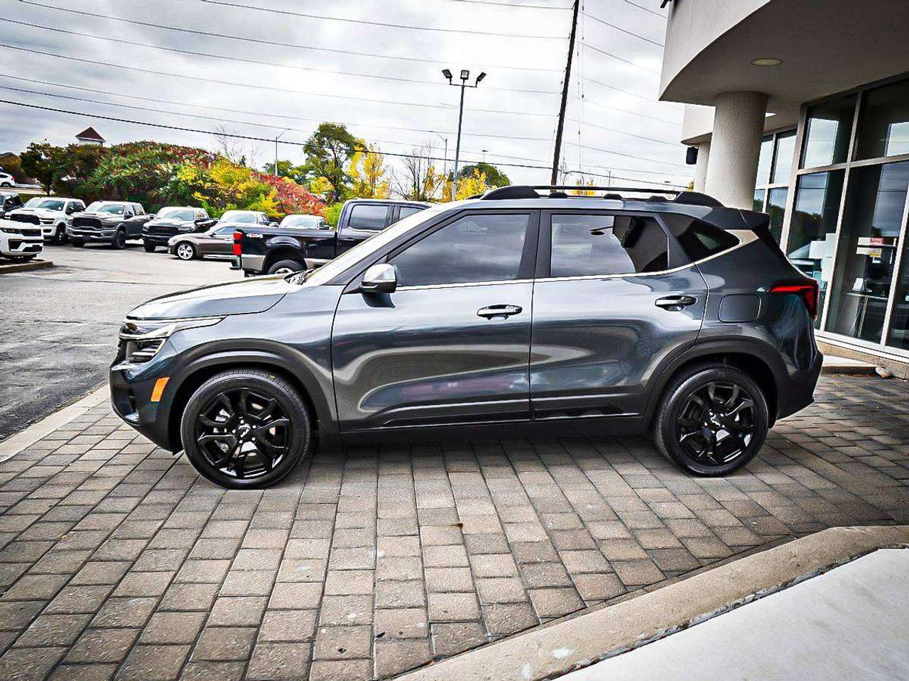 2024 Kia Seltos  Photo