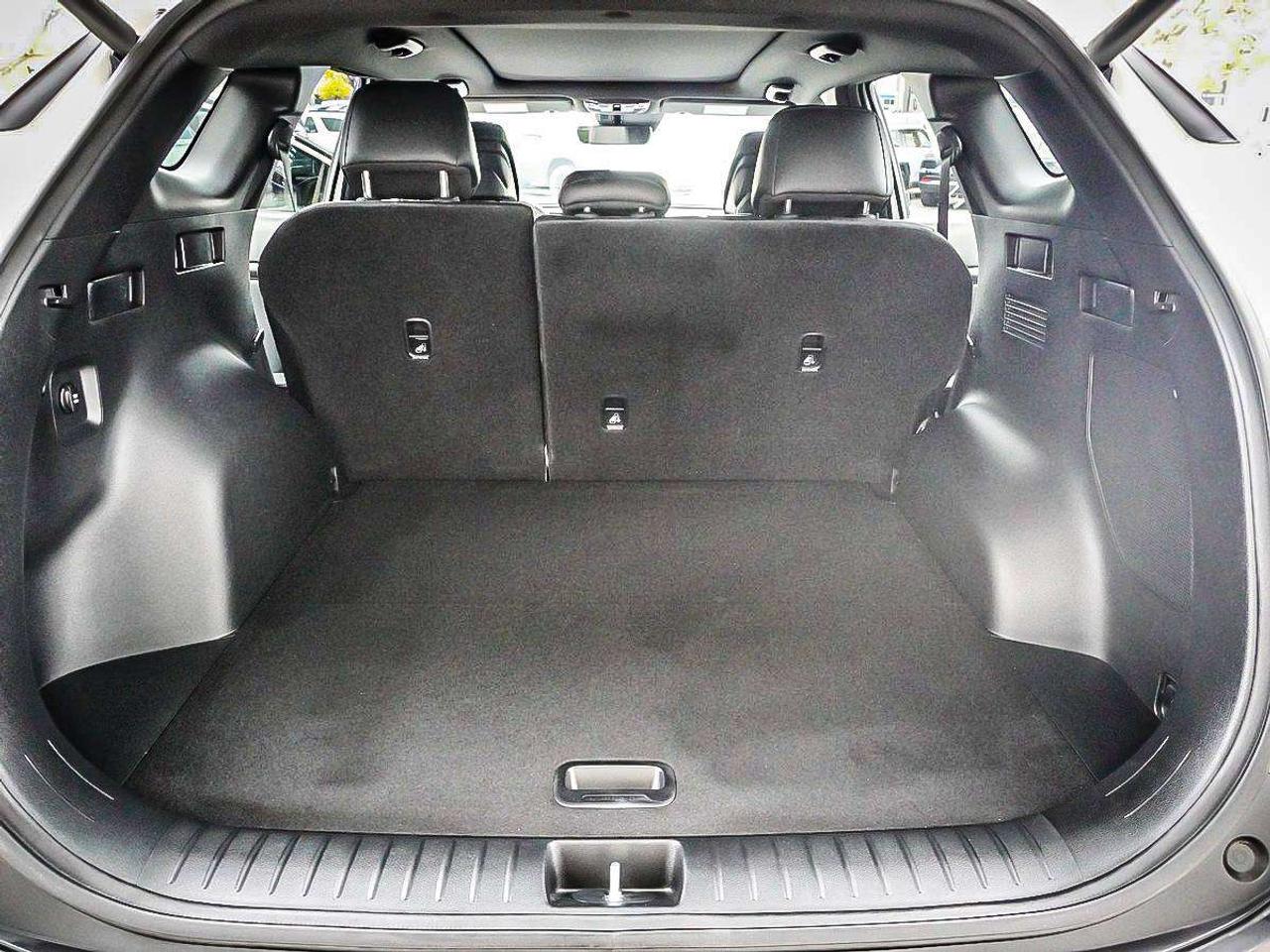 2023 Kia Sportage  Photo