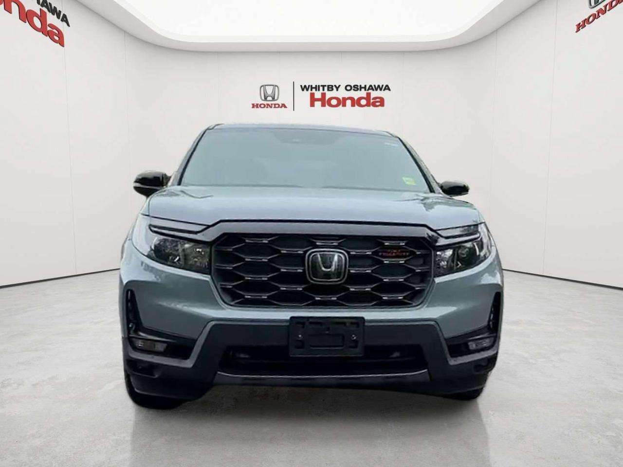 2023 Honda Passport TRAILSPORT Photo