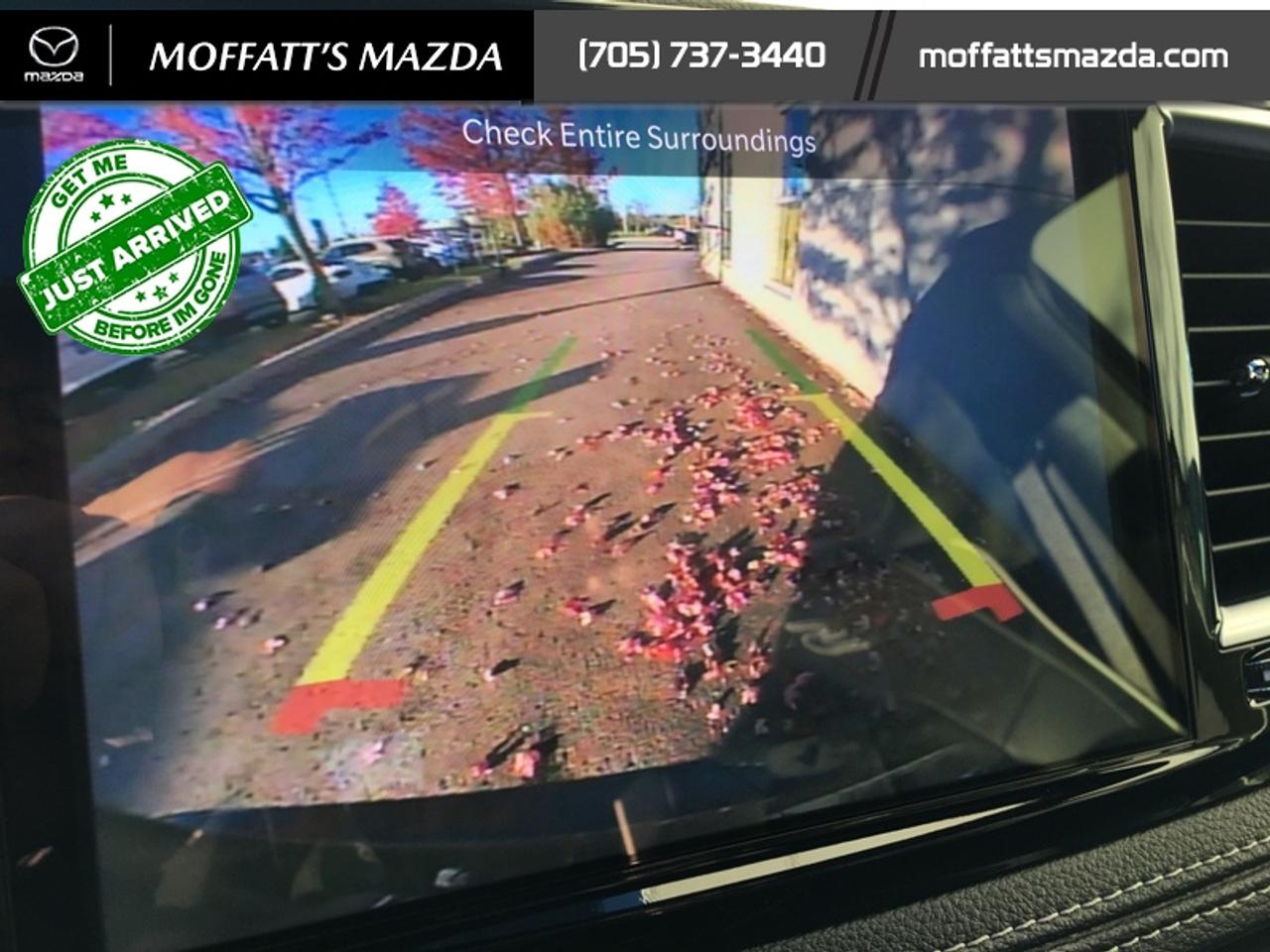 2025 Chrysler Pacifica Limited Photo