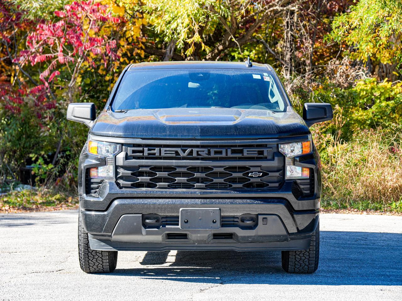 2025 Chevrolet Silverado 1500 Custom Photo1