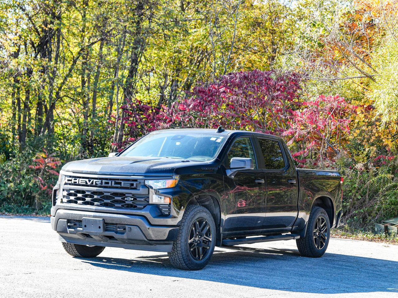 2025 Chevrolet Silverado 1500 Custom Photo