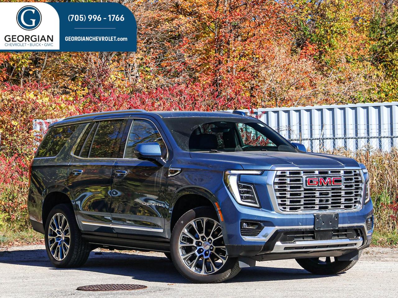 2025 GMC Yukon Denali Photo0
