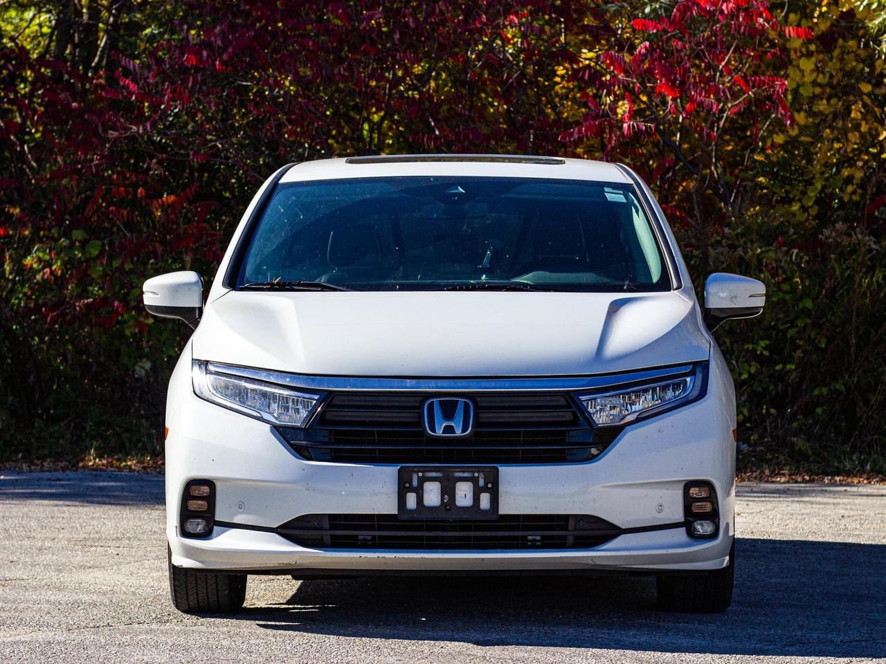 2022 Honda Odyssey Touring Photo