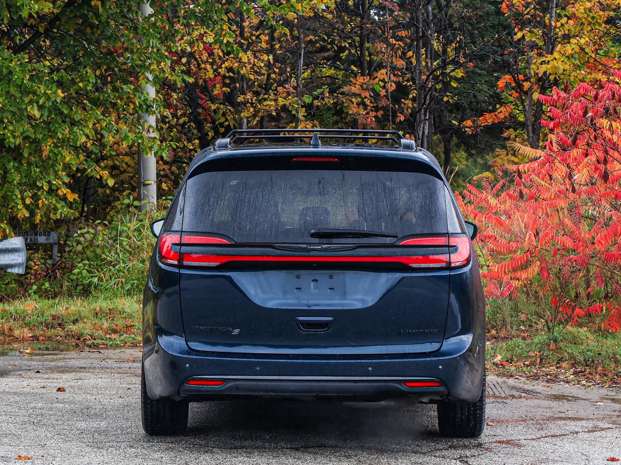 2025 Chrysler Pacifica Limited Photo