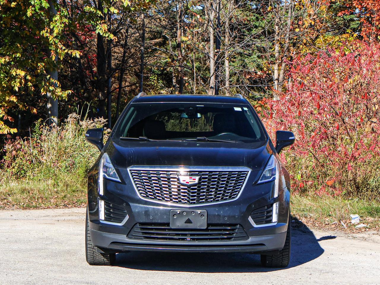 2023 Cadillac XT5 AWD Luxury Photo
