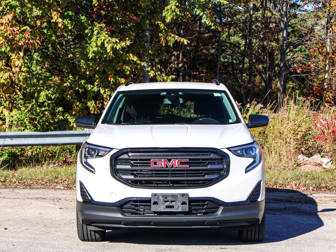 2020 GMC Terrain SLE Photo