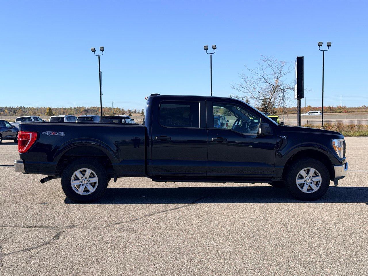 2022 Ford F-150 XL Photo3