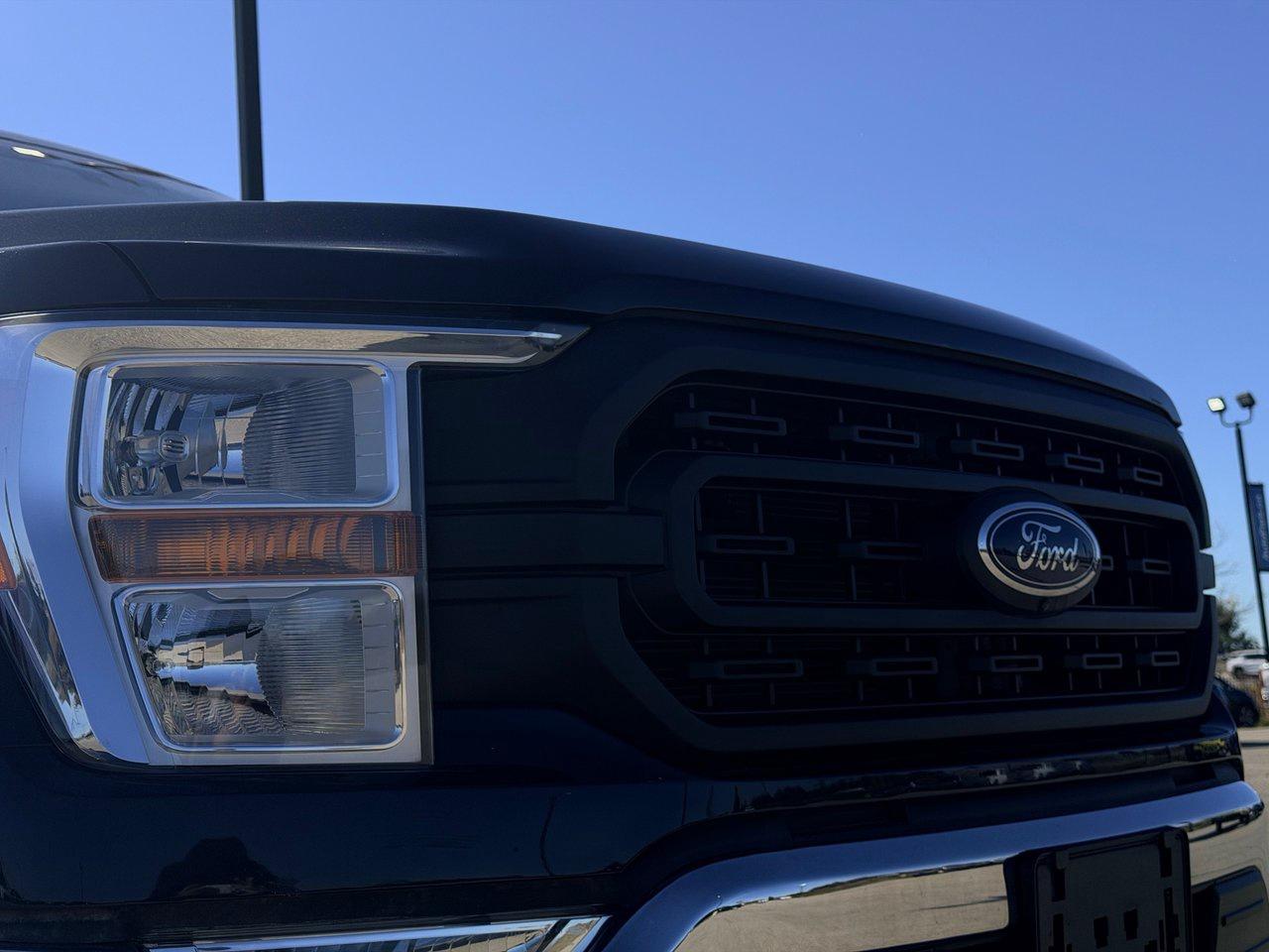2022 Ford F-150 XL Photo